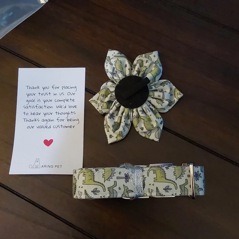 Dinasaur Dog Collar with Removable Flower | Aring Pet | Medium